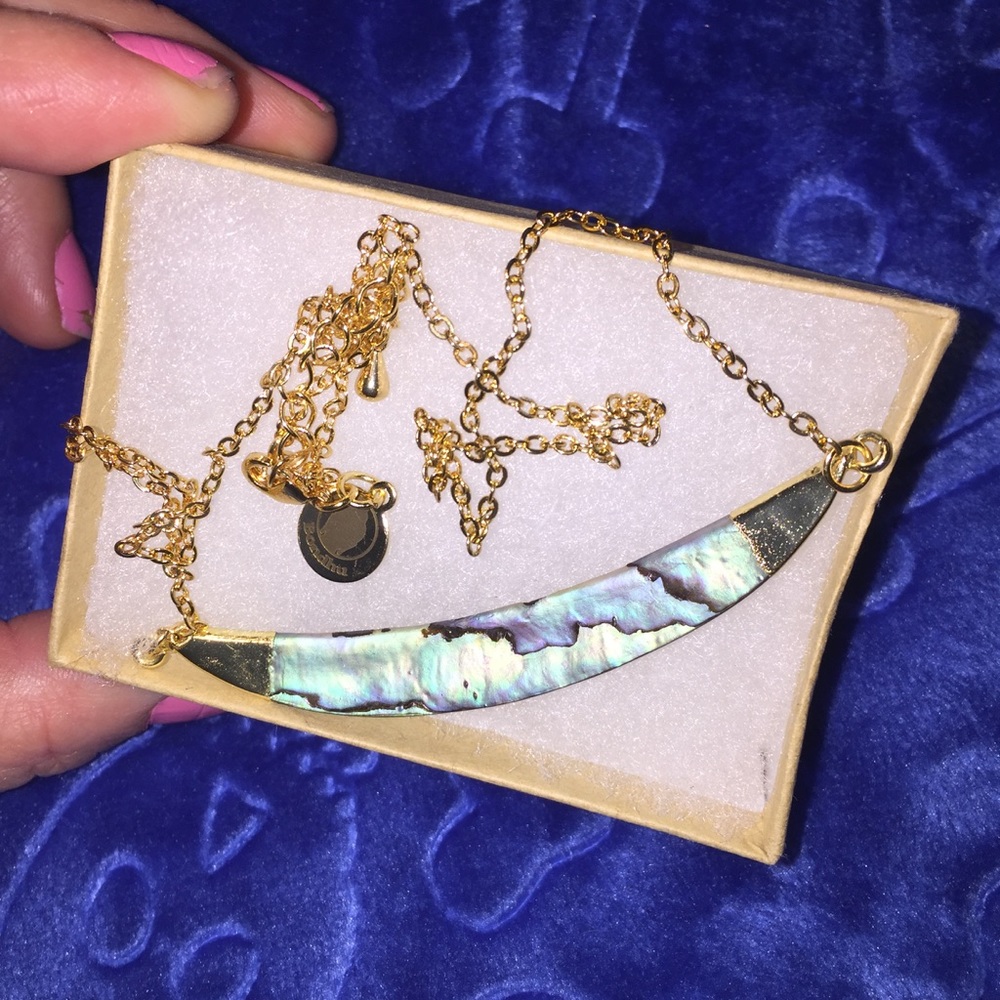 Natural abalone horn shaped pendant necklace.